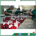 China IQF Fluid Bed Freezers